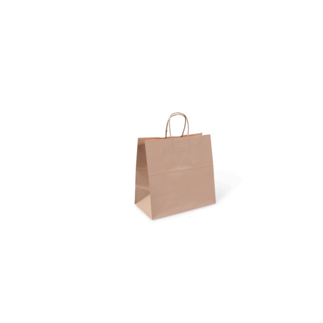 Paper Bag WF #4